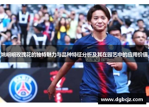 姚明明玫瑰花的独特魅力与品种特征分析及其在园艺中的应用价值