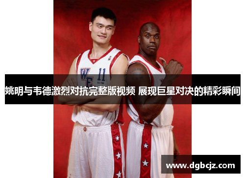 姚明与韦德激烈对抗完整版视频 展现巨星对决的精彩瞬间